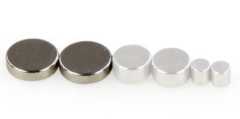 MD PRODUCTS RARE EARTH MAGNETS 8mmx2mm (1 PAIR)