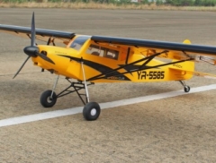 Seagull Shock Cub (35-55cc) 2.59m / 102in, Yellow Special Order 6-9 Months